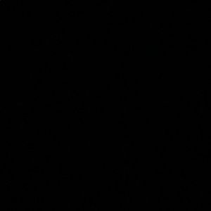 Meet your Posher, Isabella